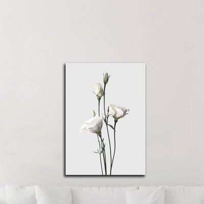 &Lisianthus White& by Design Fabrikken - Wrapped Canvas Photograph Print Latitude Run Size: 42x22 H x 30x22 W x 1.5x22 D YVL0_N1PMX16